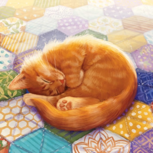 猫与花毯 App Store 官方封面